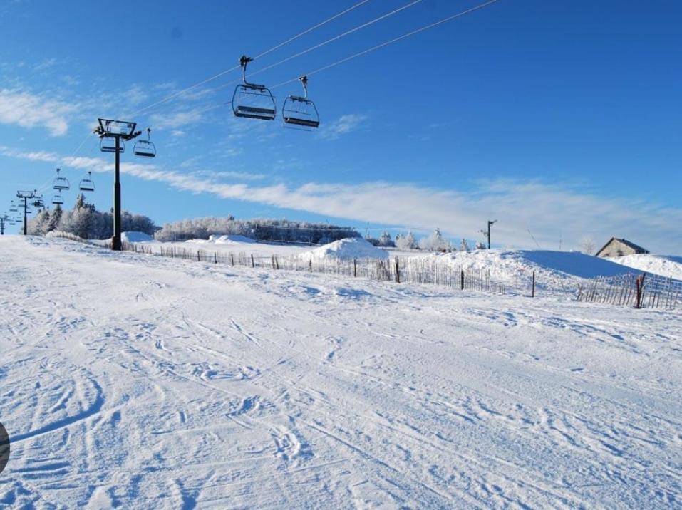 Gite Spa "La Foret Argentee" Proche Gerardmer Laveline-du-Houx Eksteriør bilde