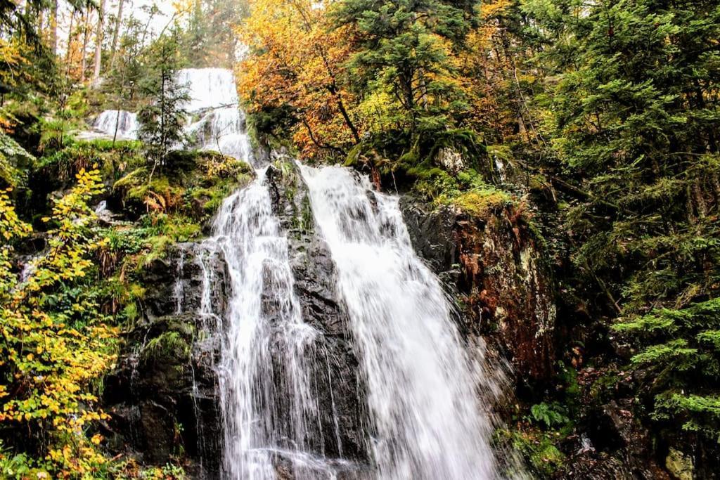 Gite Spa "La Foret Argentee" Proche Gerardmer Laveline-du-Houx Eksteriør bilde